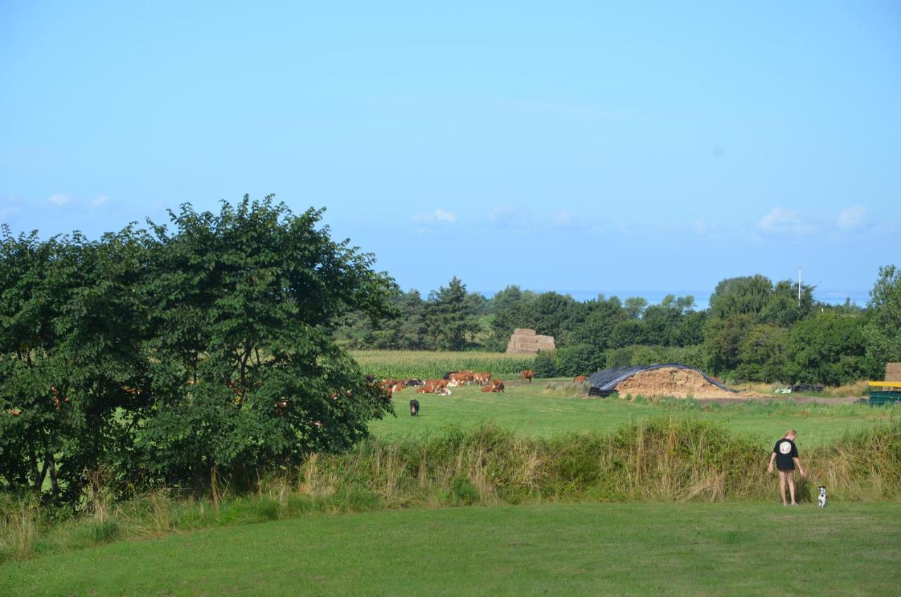 Camping & Feriecenter Samso Kolby Zewnętrze zdjęcie